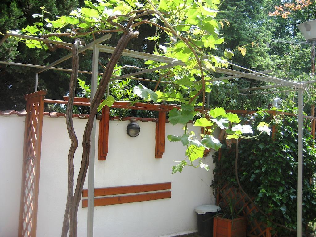 Guest House Yanina 瓦爾納 外观 照片